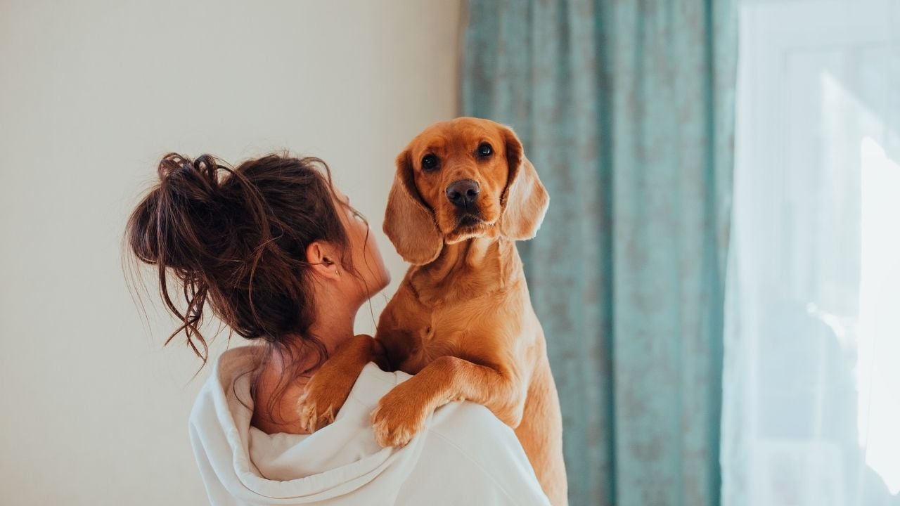 Bir kadın, kollarında bir köpek tutuyor.
