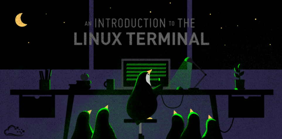 Getting Started with the Linux Terminal: A Comprehensive Beginner's Guide :B3: