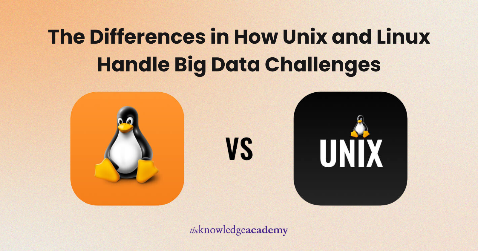 The Differences in How Unix and Linux Handle Big Data Challenges