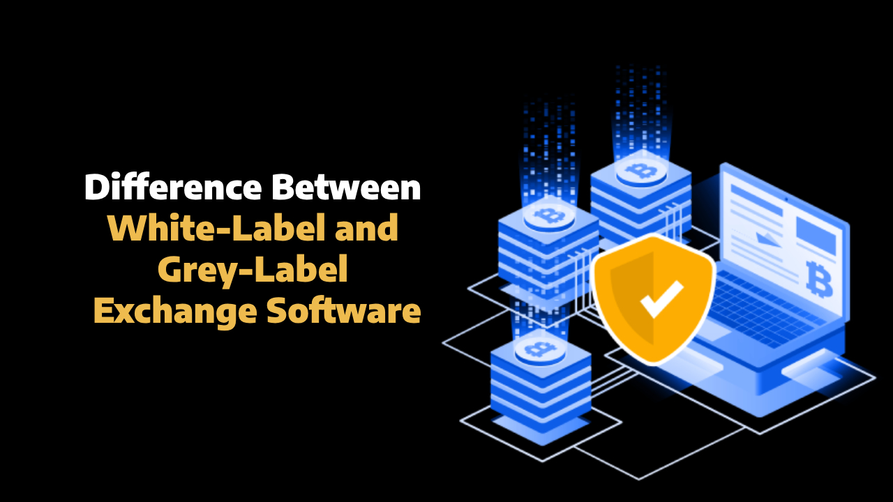 Difference Between White-Label and Grey-Label Exchange Software