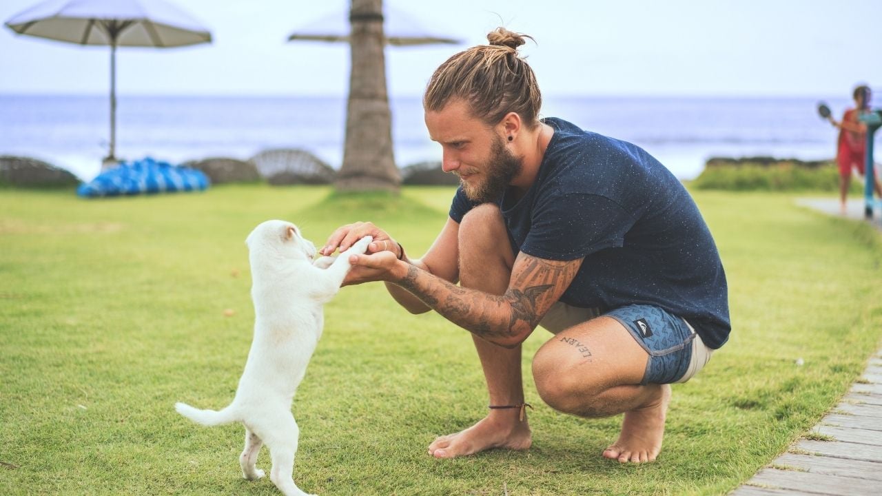 sahibi tarafından eğitilen yavru beyaz köpek
