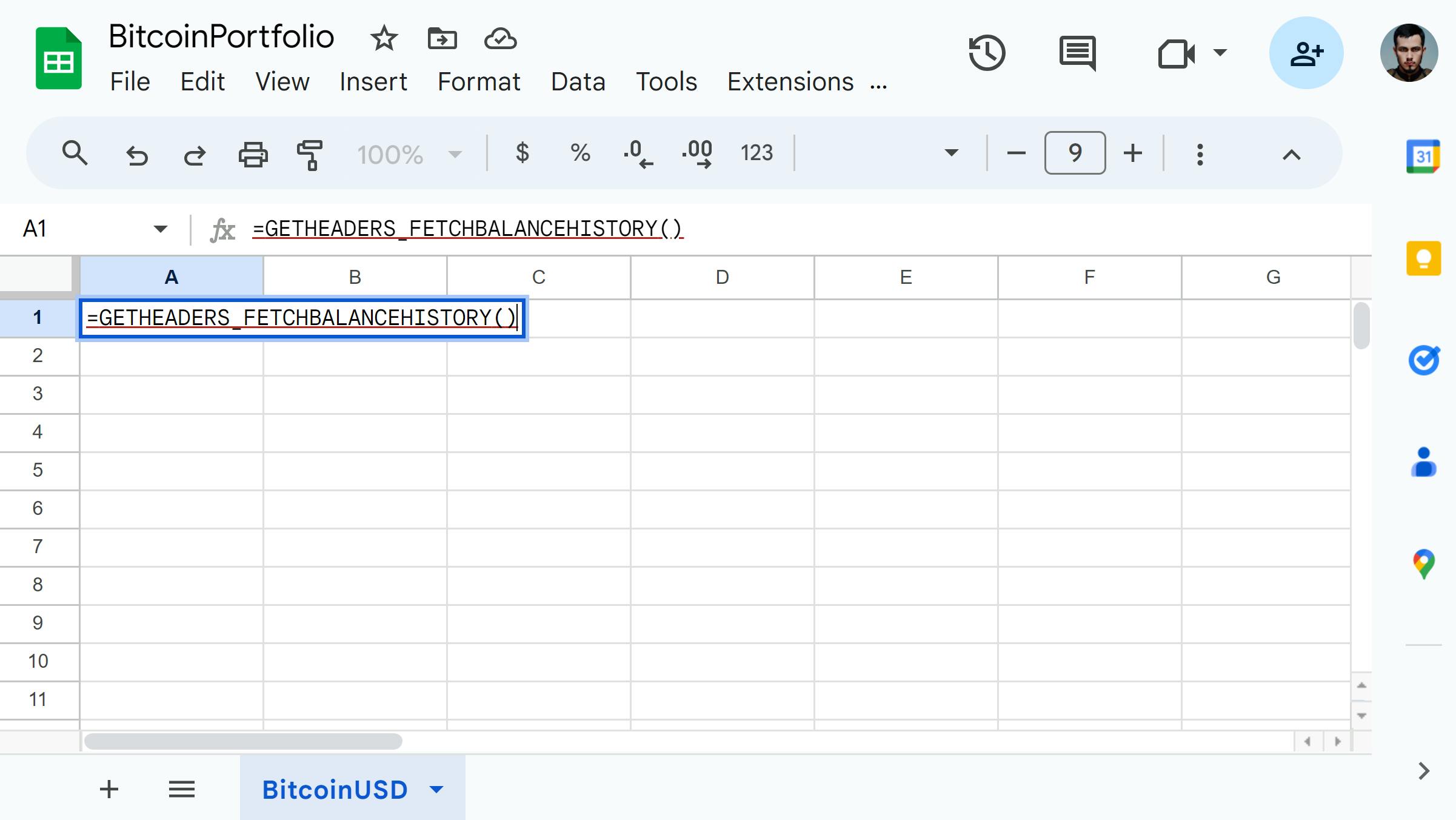 Bitcoin Portfolio header values