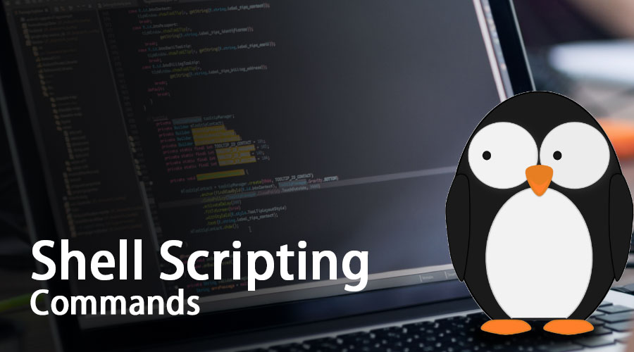 Day 4 - Basic Linux Shell Scripting