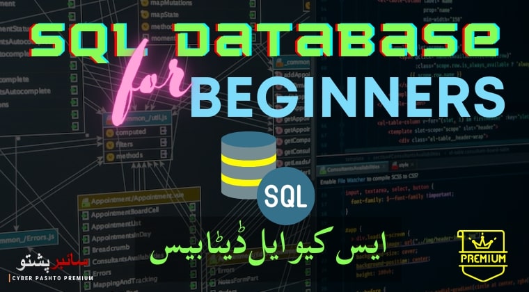 SQL for Beginners