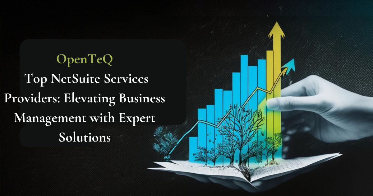 OpenTeQ Top NetSuite Services Providers: Elevating Business Management with Expert Solutions