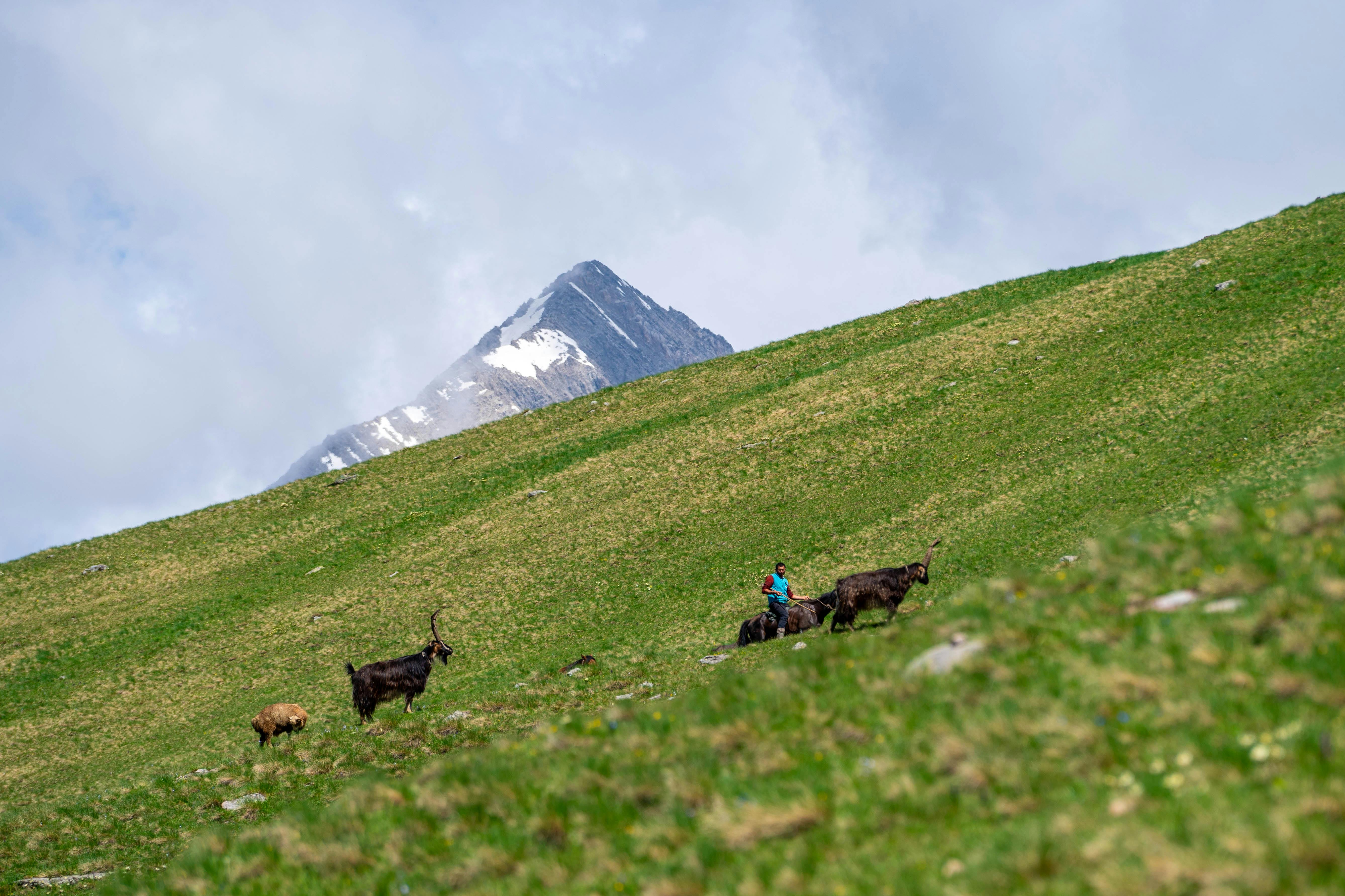 Hiking in Gudauri