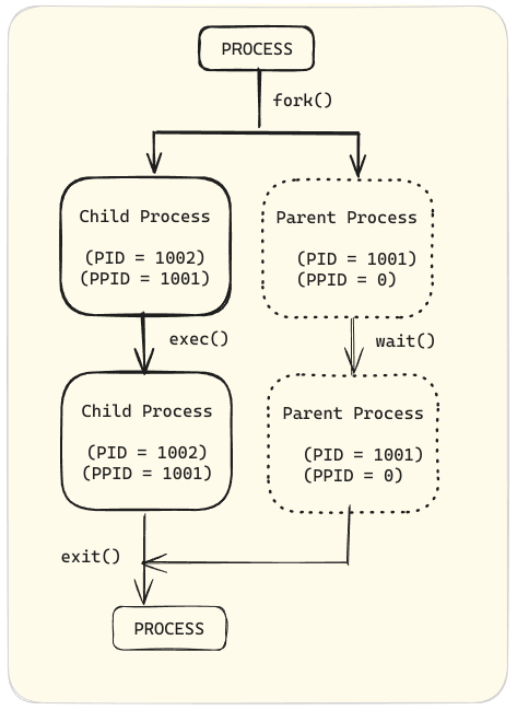 Process and its initialization to parent and child