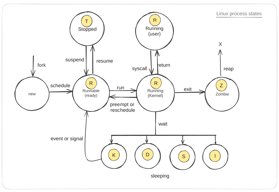 Linux process states and transitions