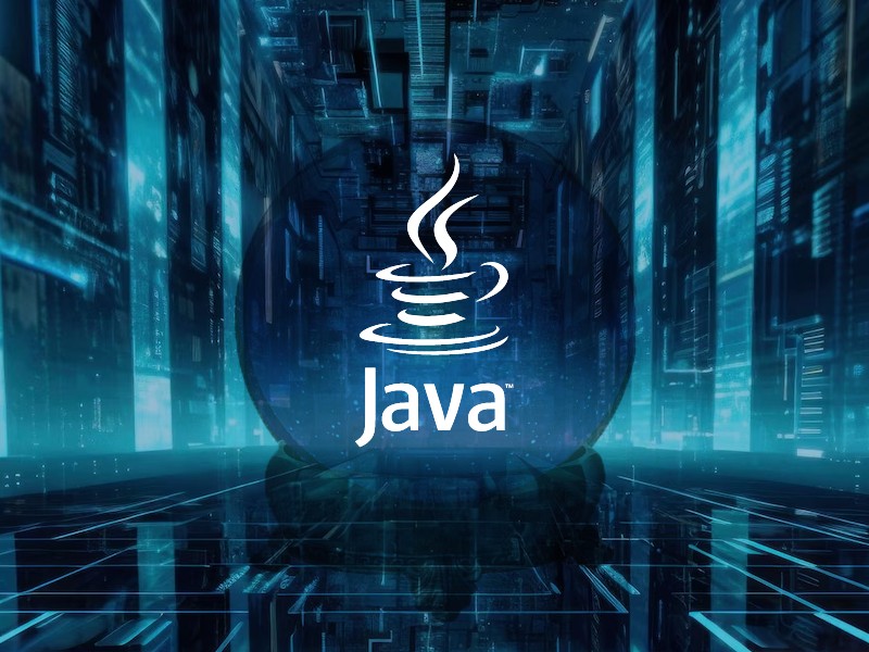 Java Programming Language.