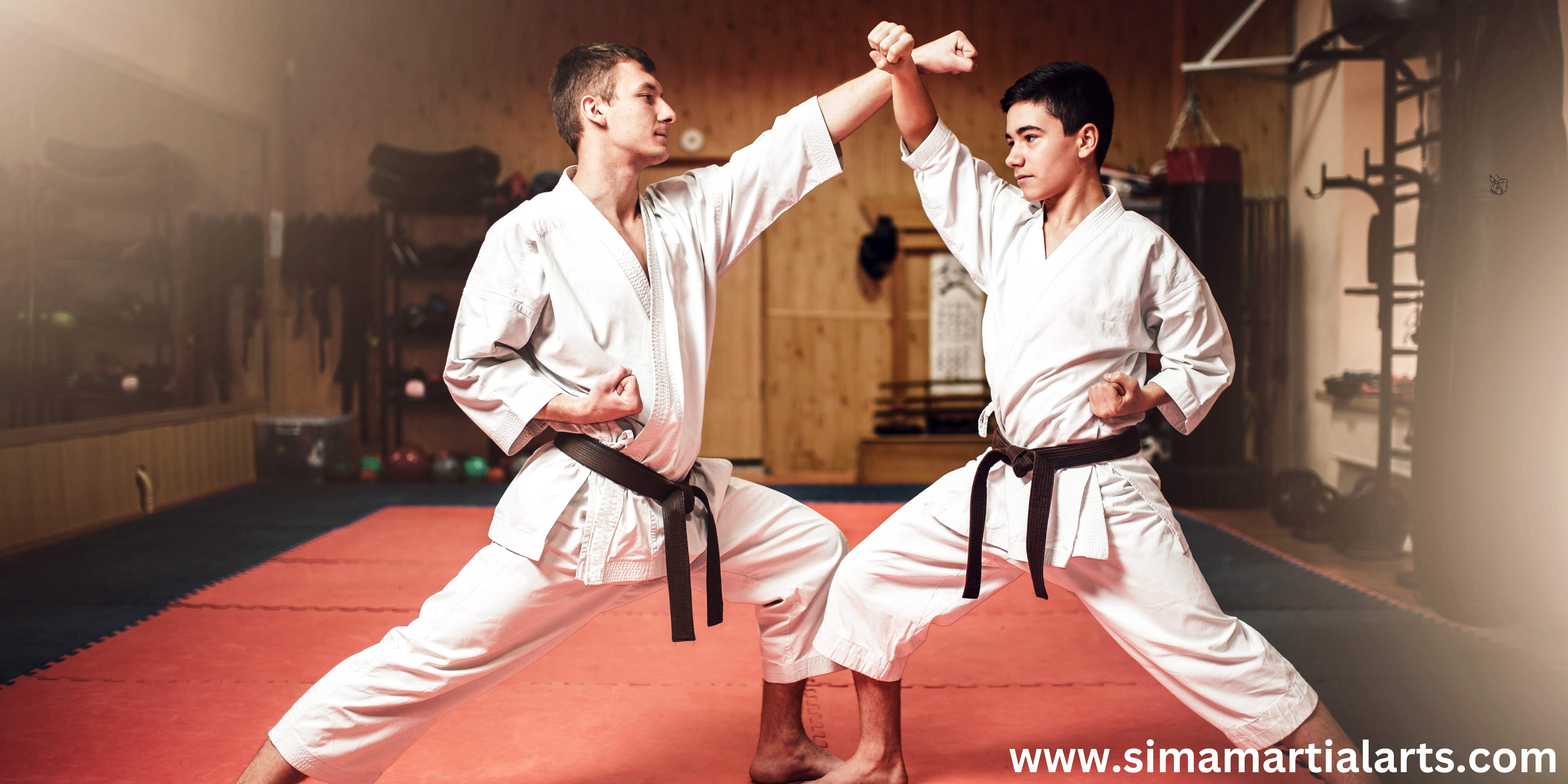 Why Are Martial Arts Seattle So Popular?