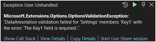 IOptions error screen shot