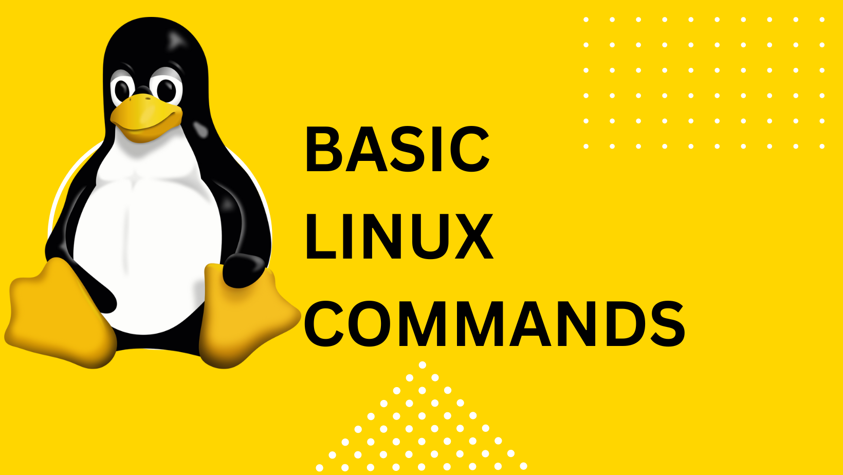 Day 2 : Basics linux command