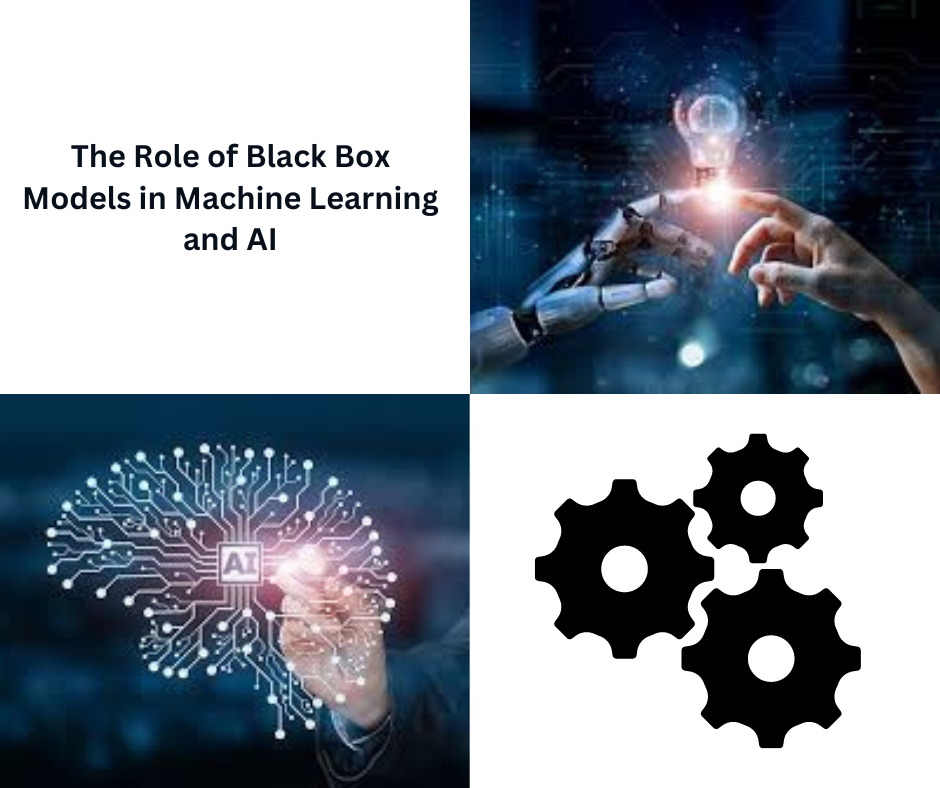 The Role of Black Box Models in Machine Learning and AI