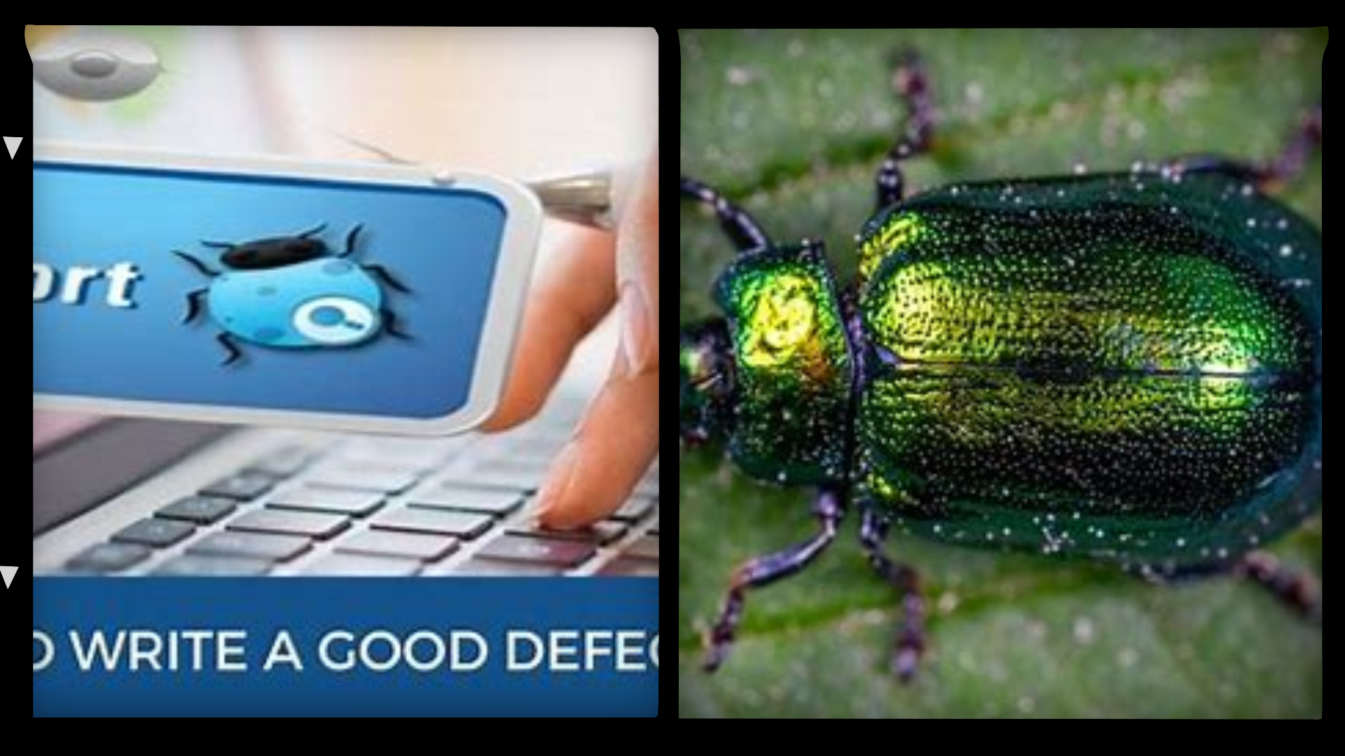 Unveiling SAW: A Deep Dive into ScrapeAnyWebsite's Bugs, Usability, and Inconsistencies