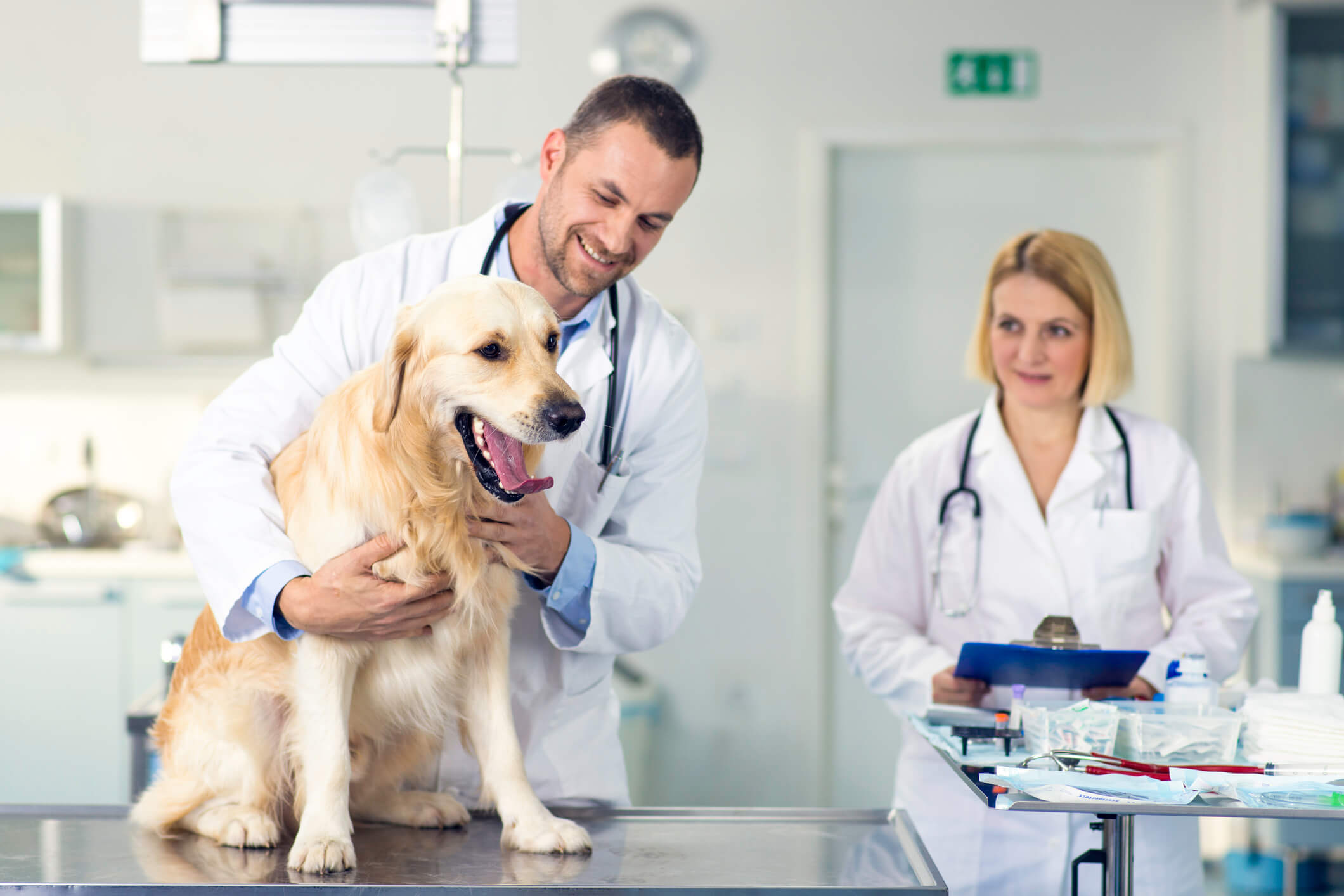 Mobile Pet Care: Surging Demand Fuels Growth of the Global Industry New Market Insights Revealed