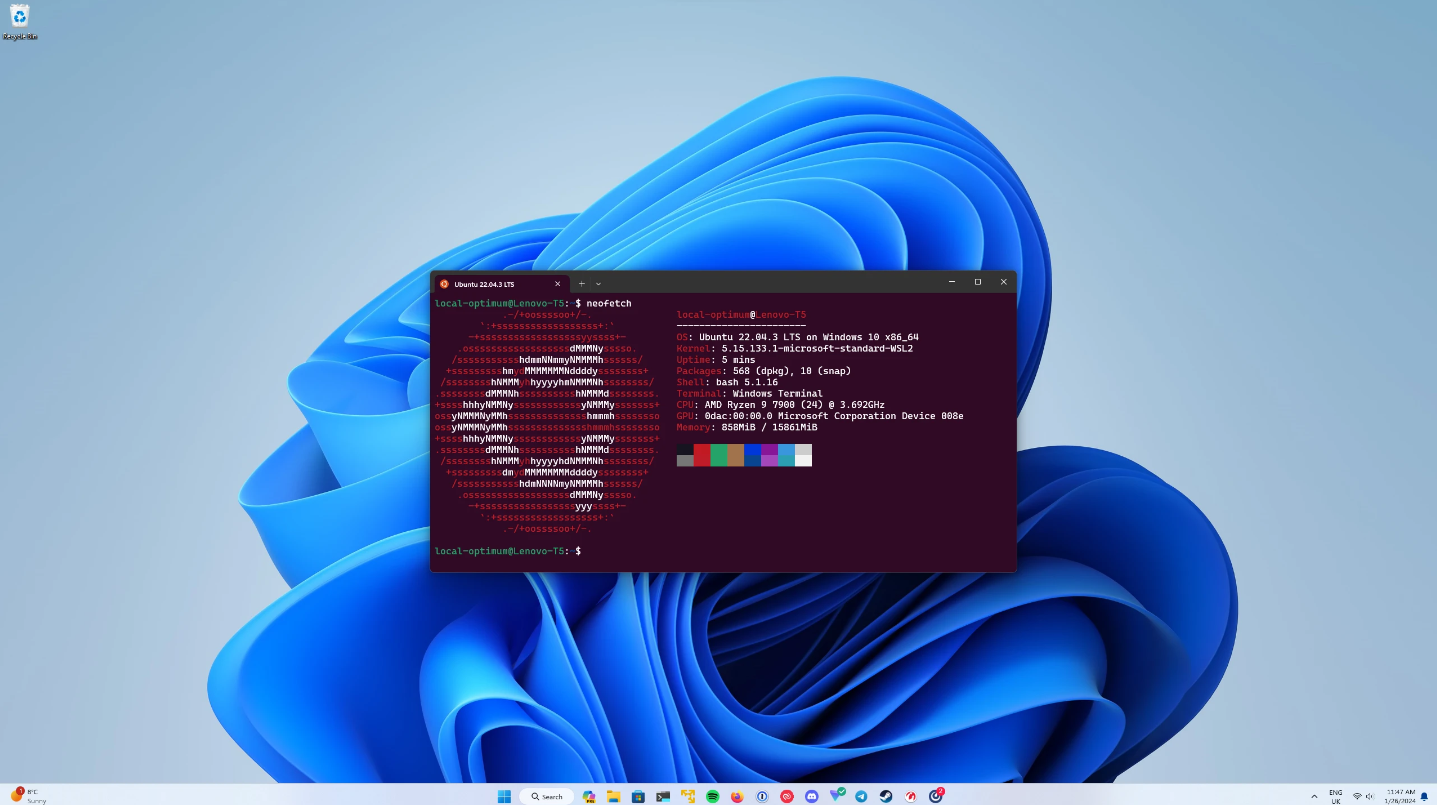 Windows Subsystem for Linux [WSL]