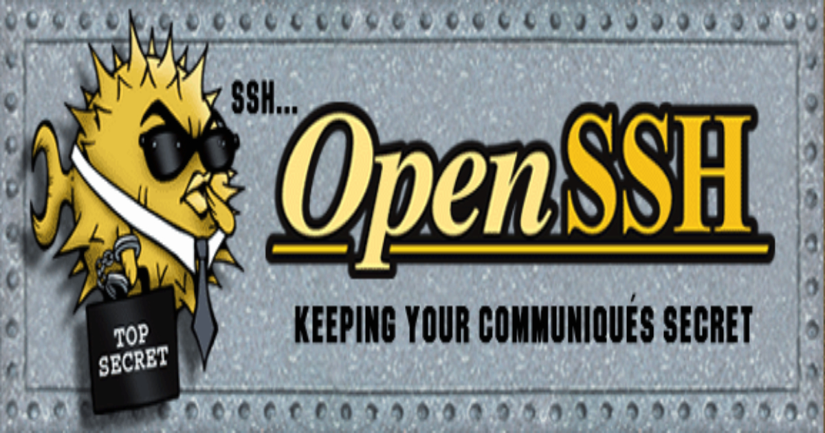 Comprehensive Guide to Connect and Configure Servers with OpenSSH