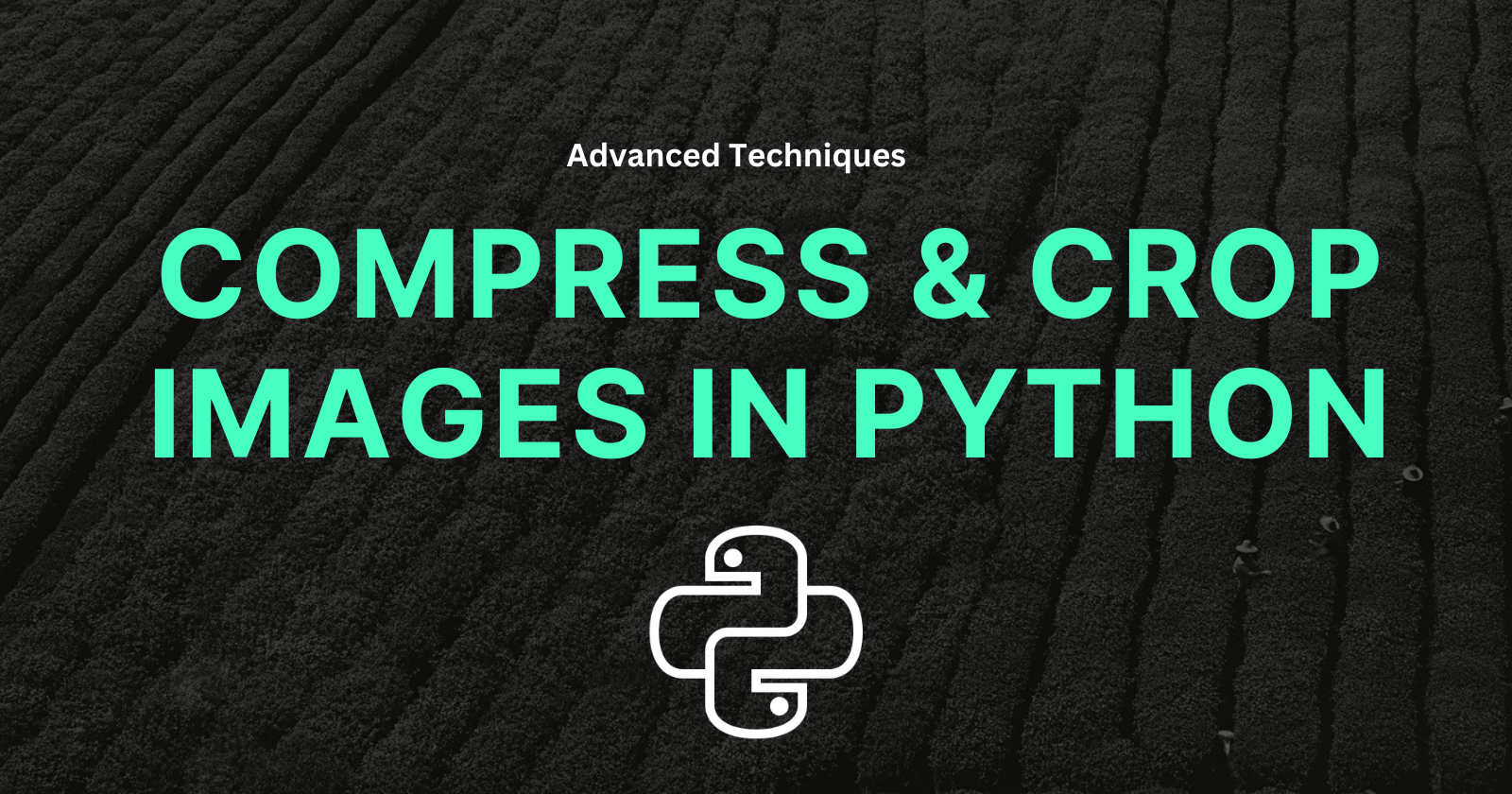 Compressing and Cropping Images Without Losing Quality in Python