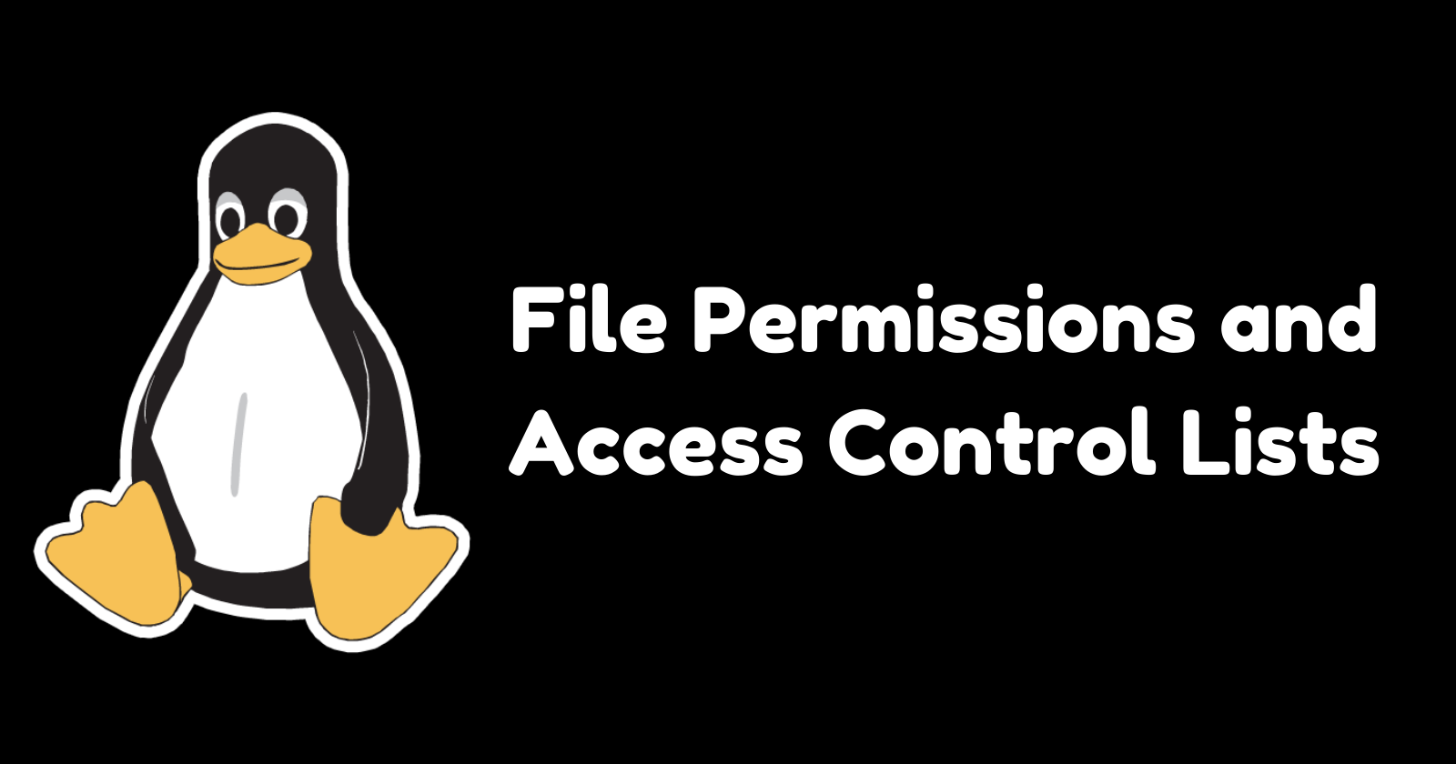 File Permissions and Access Control Lists