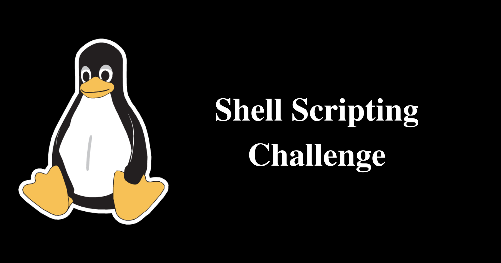 Shell Scripting Challenge