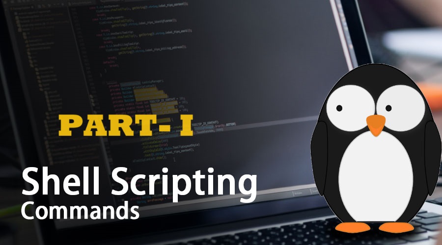 Day 4: Shell Scripting (Part I)