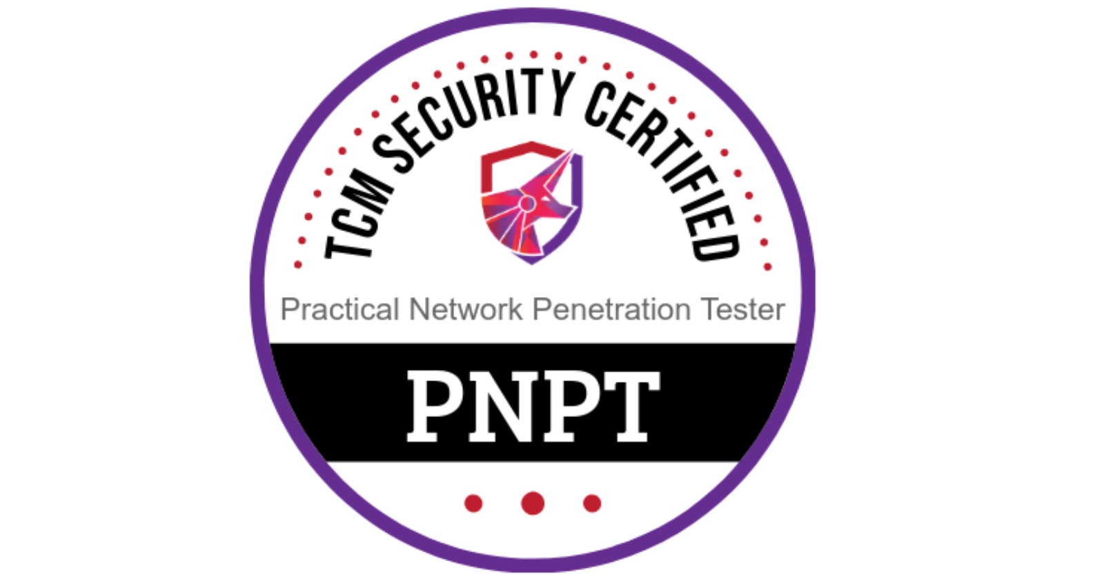 PNPT Certification Review