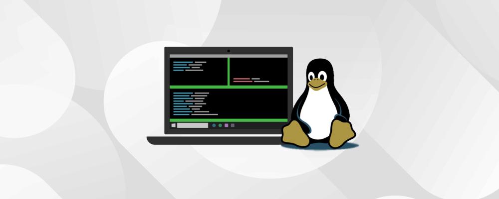 Linux Through Time: From Inception to Open-Source Powerhouse