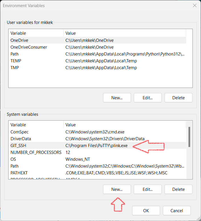 The Environment Variables window