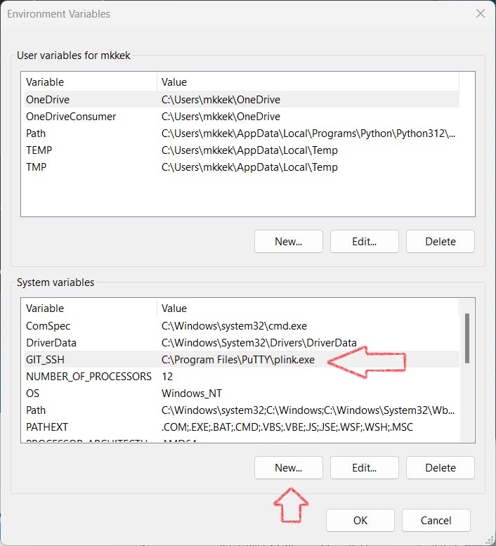 The Environment Variables window