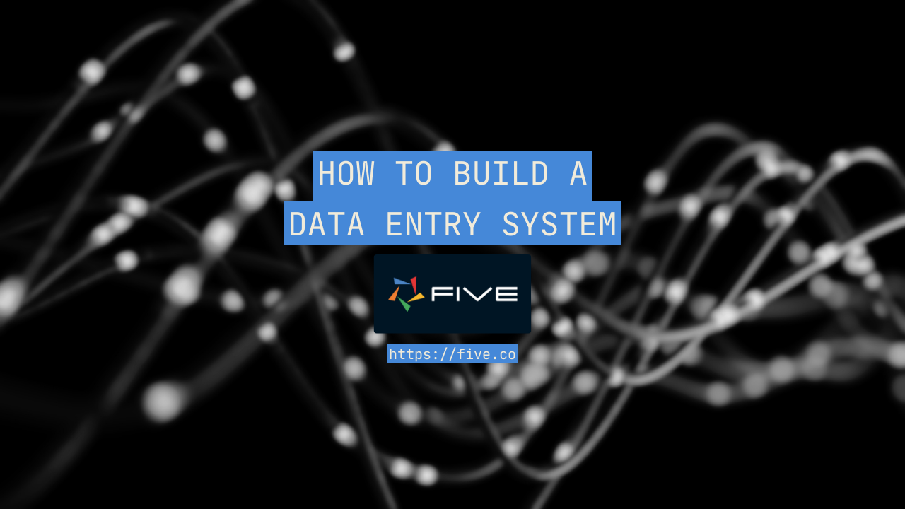 How to Build a Data Entry System (Quick & Easy Guide)