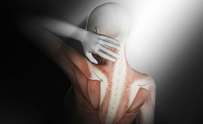 Rising Demand for Soft Tissue Injuries Repair Solutions to Propel Soft Tissue Repair Market Growth