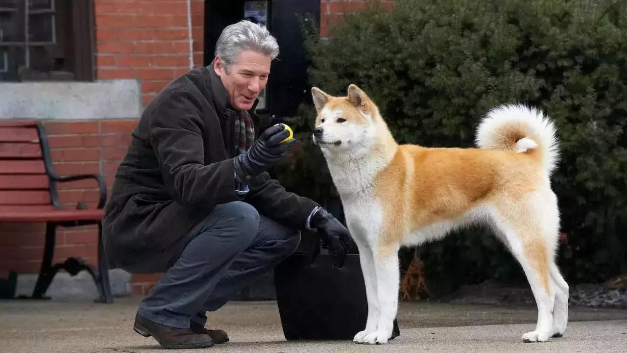 hachi: a dog's tale filminden