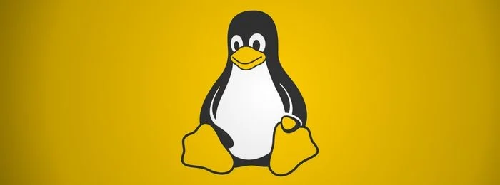 Mastering Linux: From Basics to Advanced