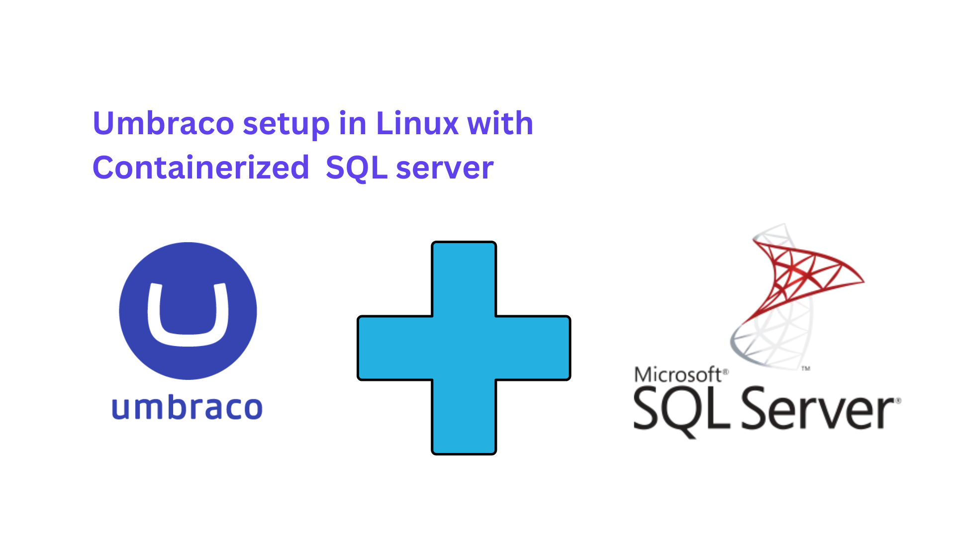 Umbraco setup in Linux with Containerized  SQL server