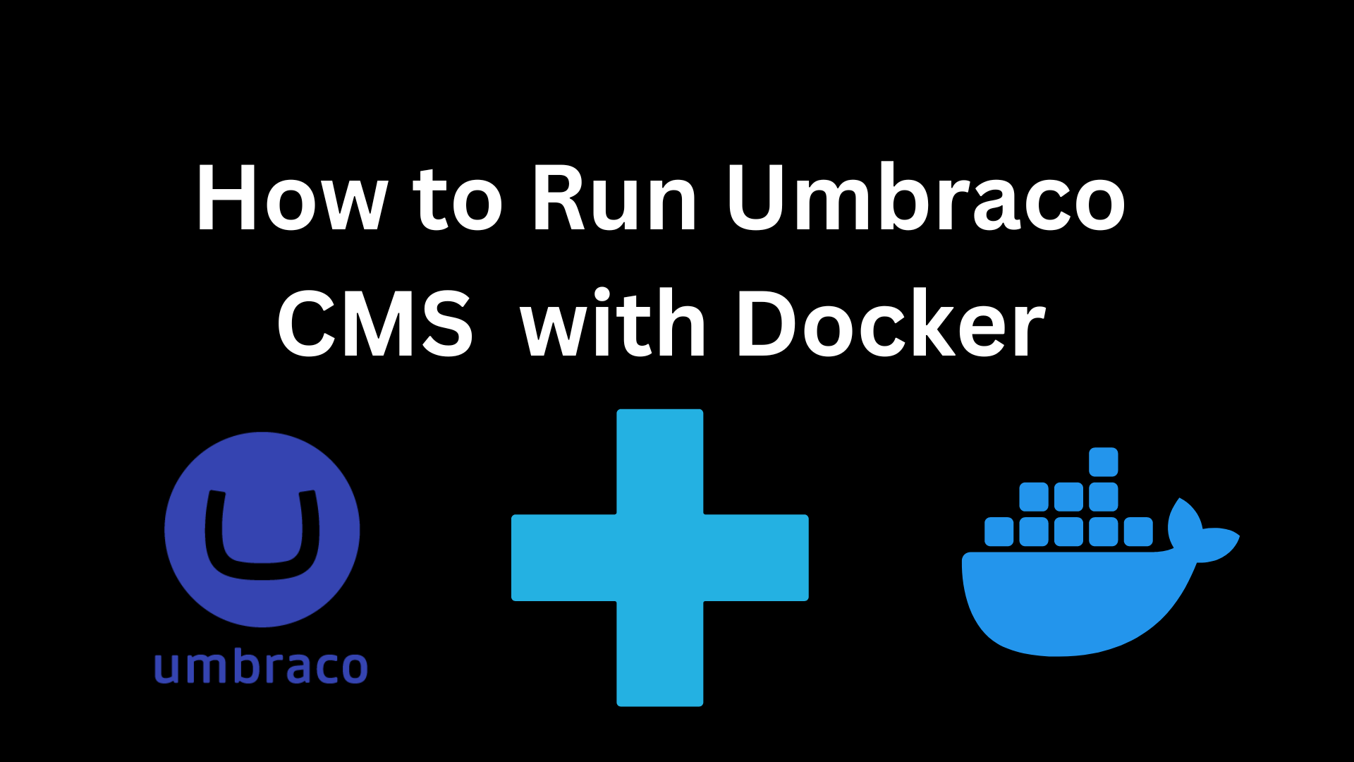 How to Run Umbraco CMS  with Docker