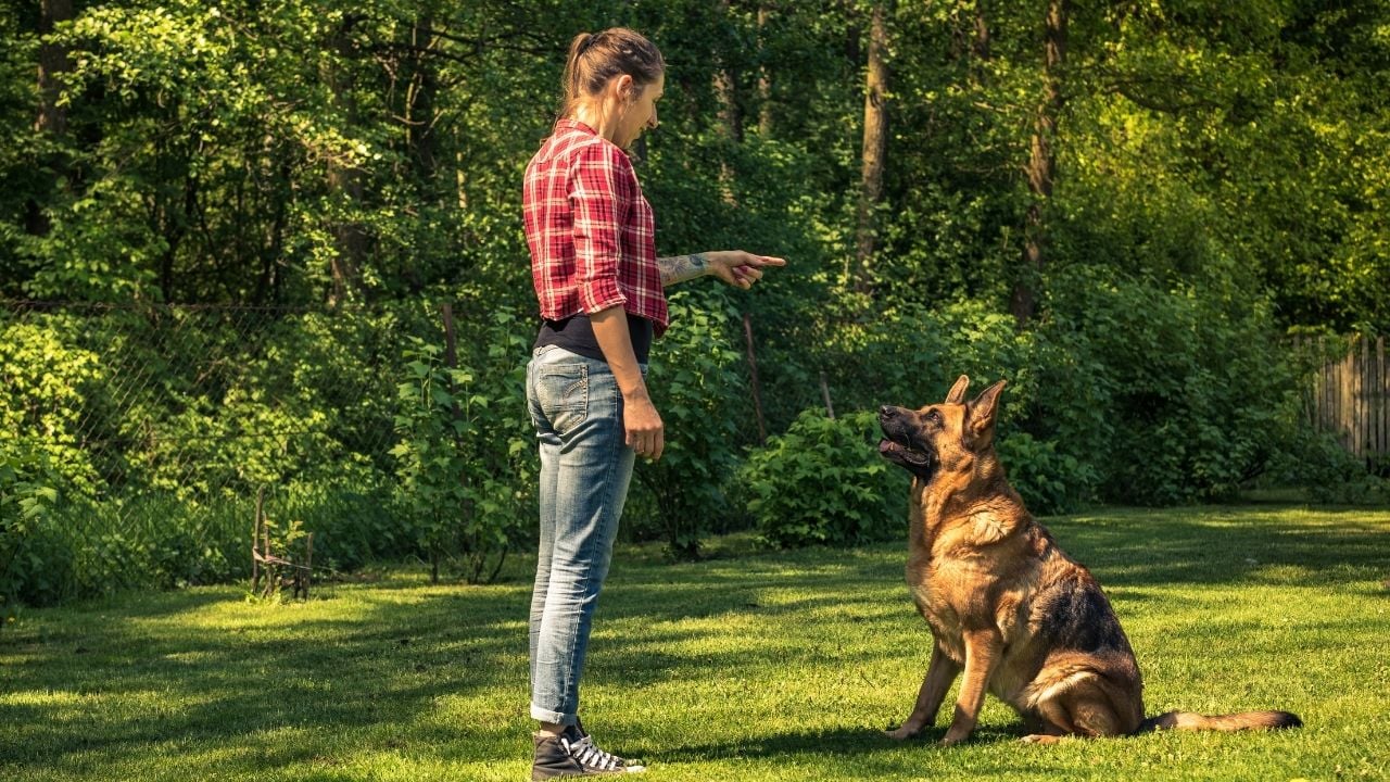 köpeğini eğiten bir kadın