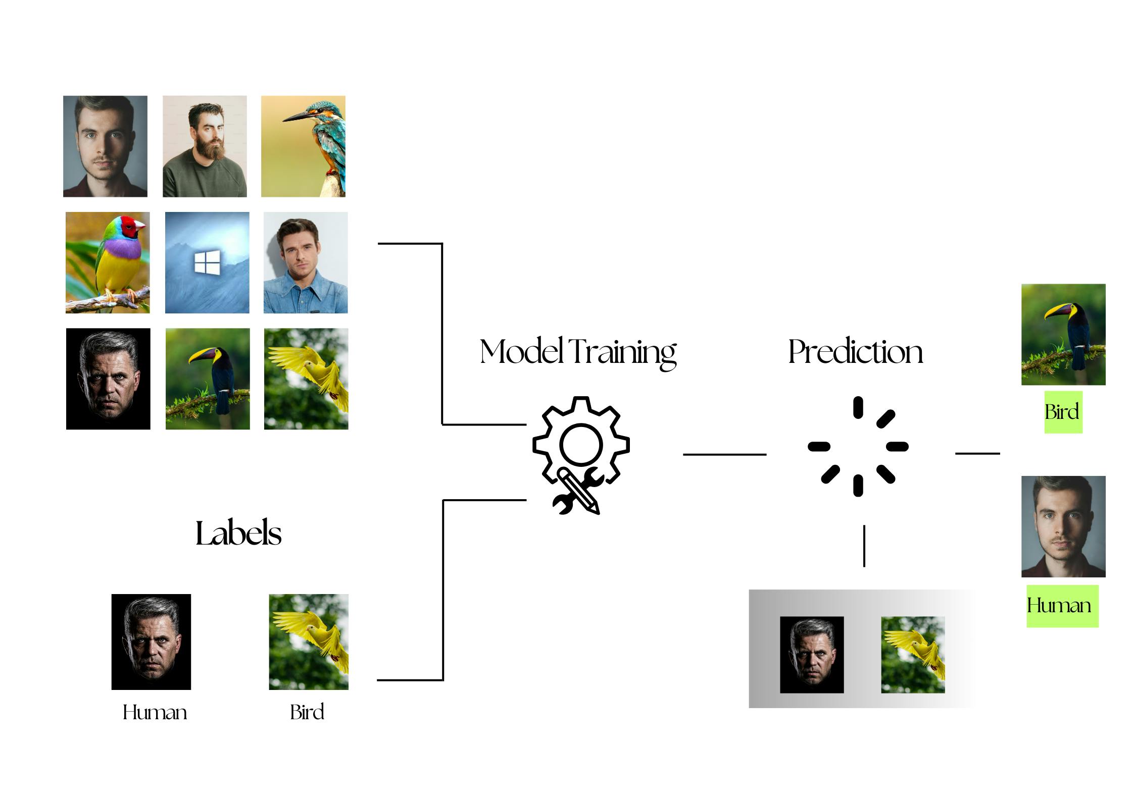 Working of Data Labeling