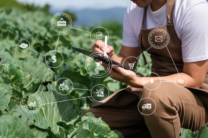 FoodTraze: Transforming Organic Farming with Blockchain Innovation