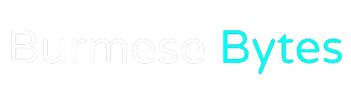 Burmese Bytes