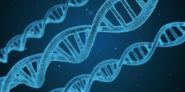 Ayurveda And Epigenetics