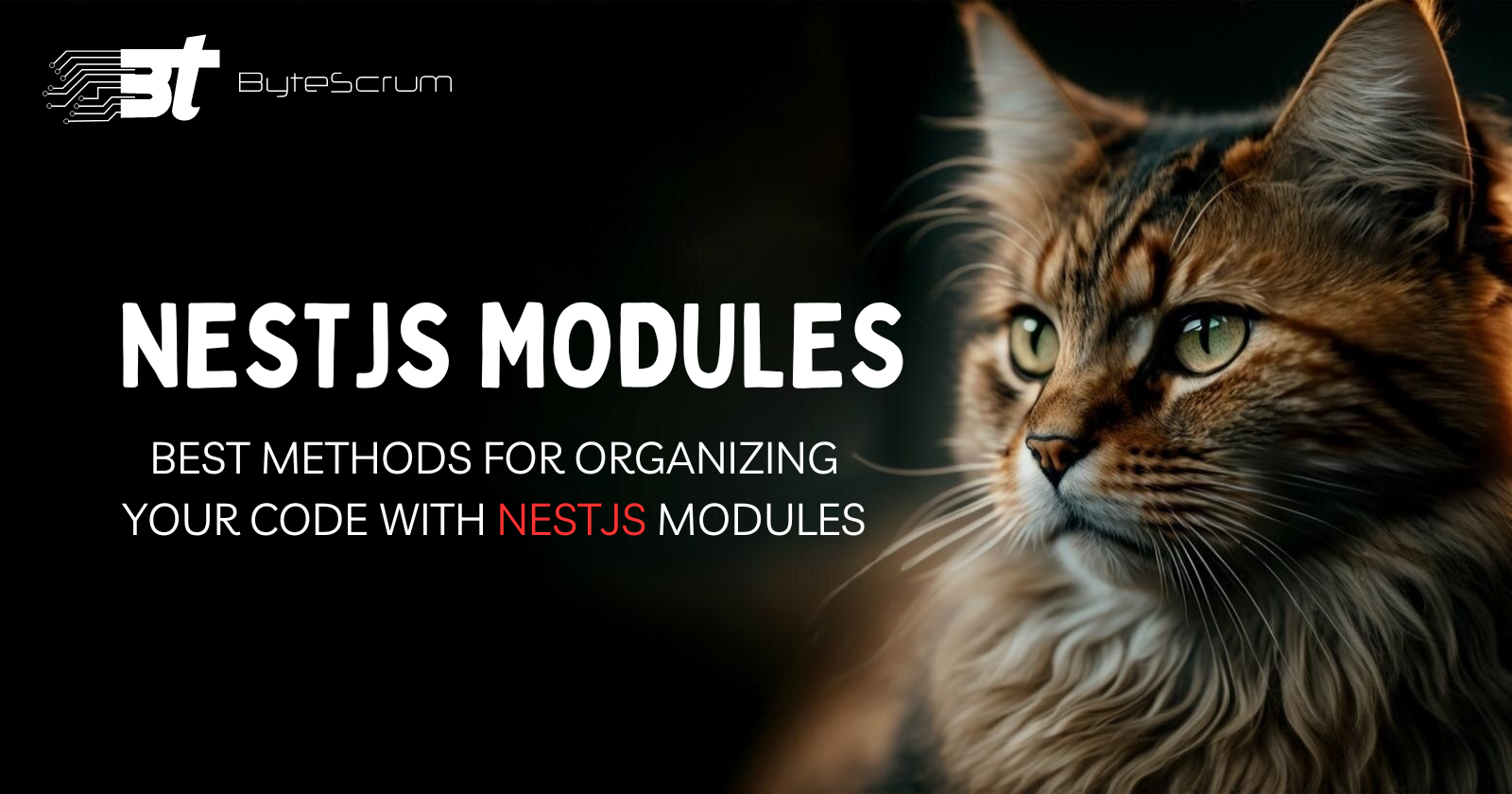 NestJS Module Best Practices for Clean Code Organization