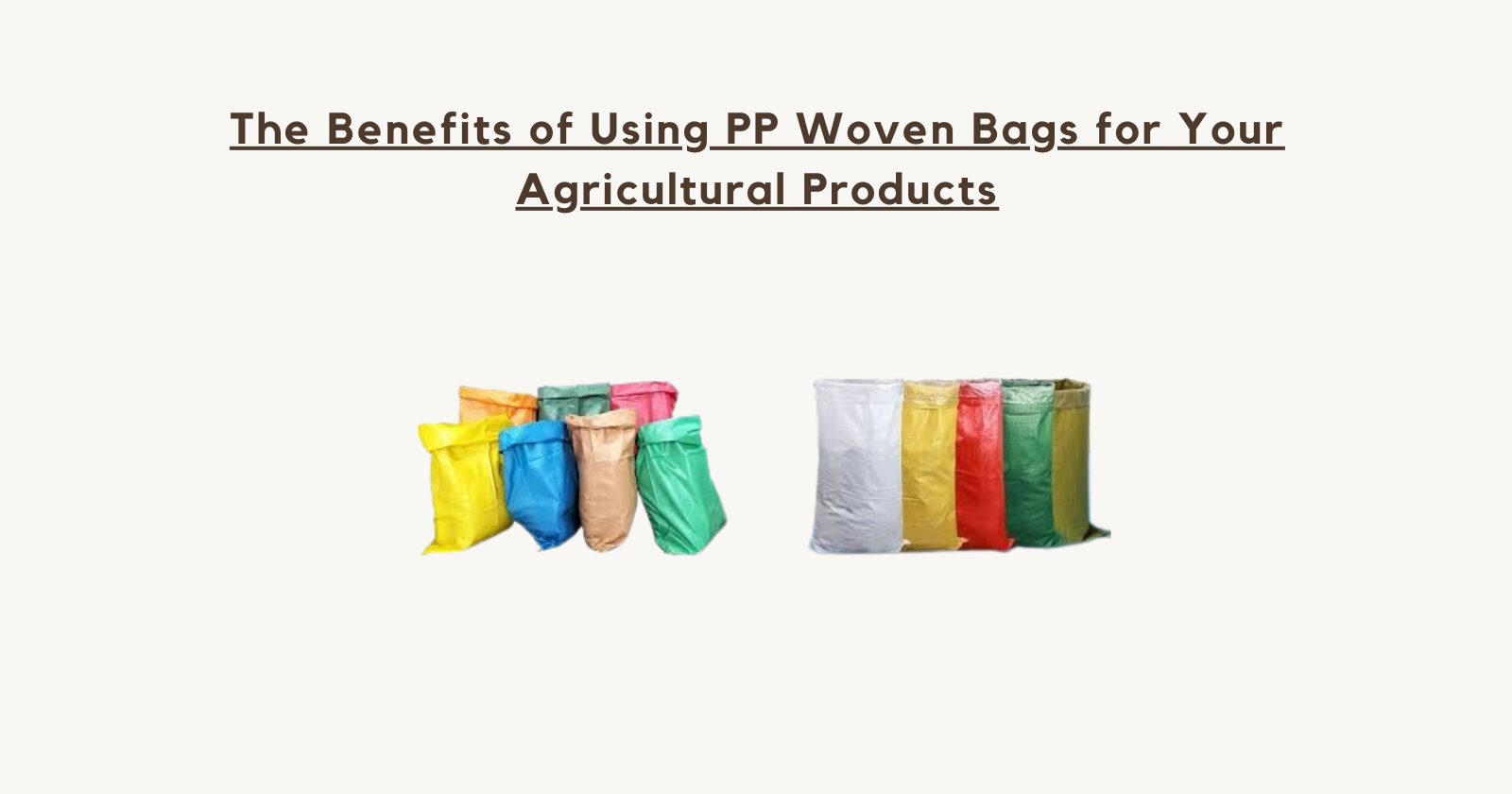 The Benefits of Using PP Woven Bags for Your Agricultural Products