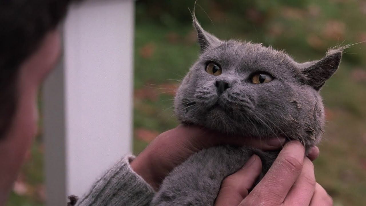 pet sematary filminden church