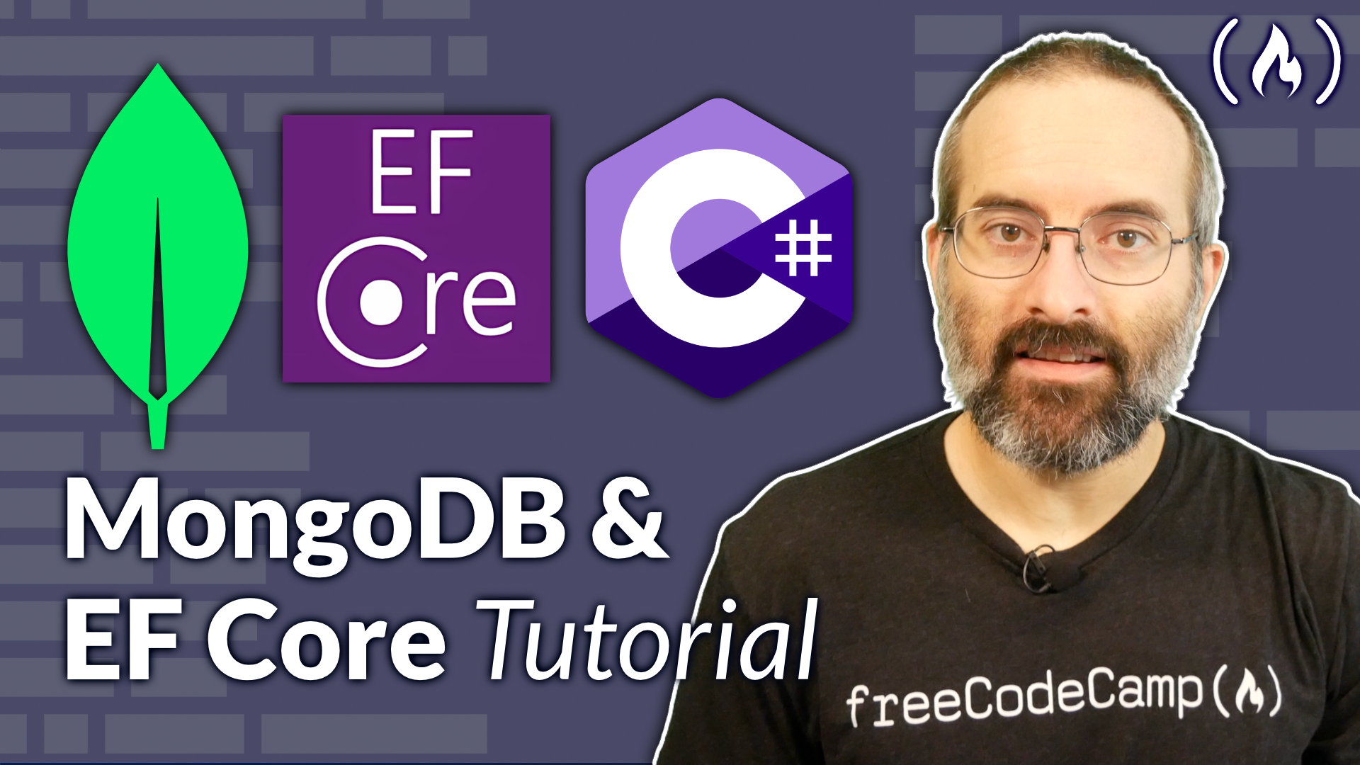 Using Entity Framework Core with MongoDB