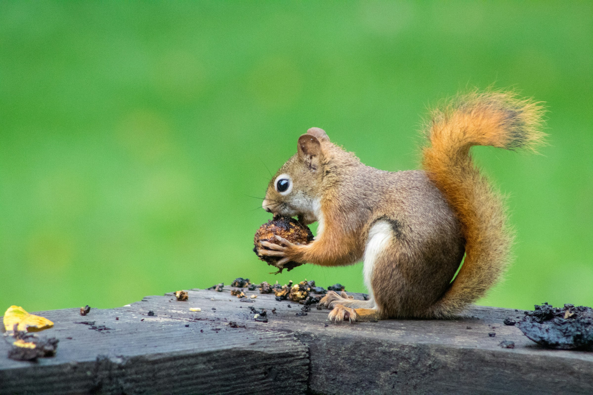 Quick Start: Installing Apache Flink on Kubernetes