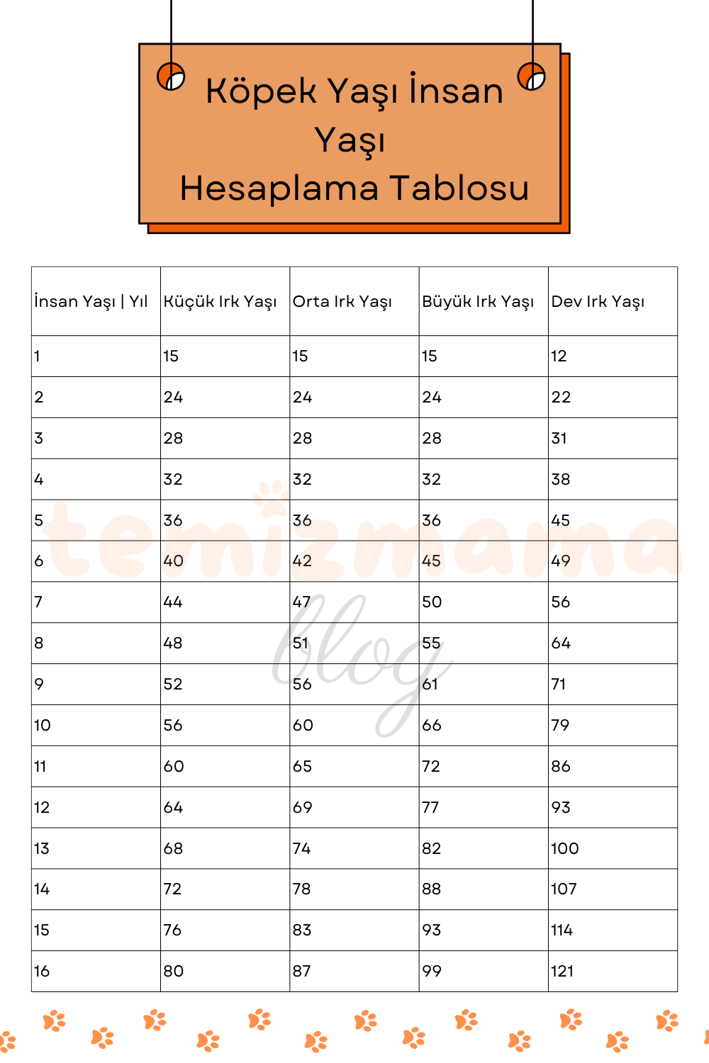 Köpek Yaşı İnsan Yaşı Hesaplama Tablosu temizmama blog