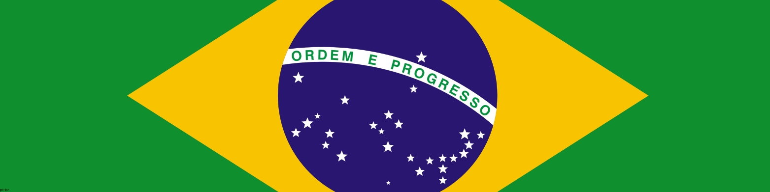 Artigos em Português
