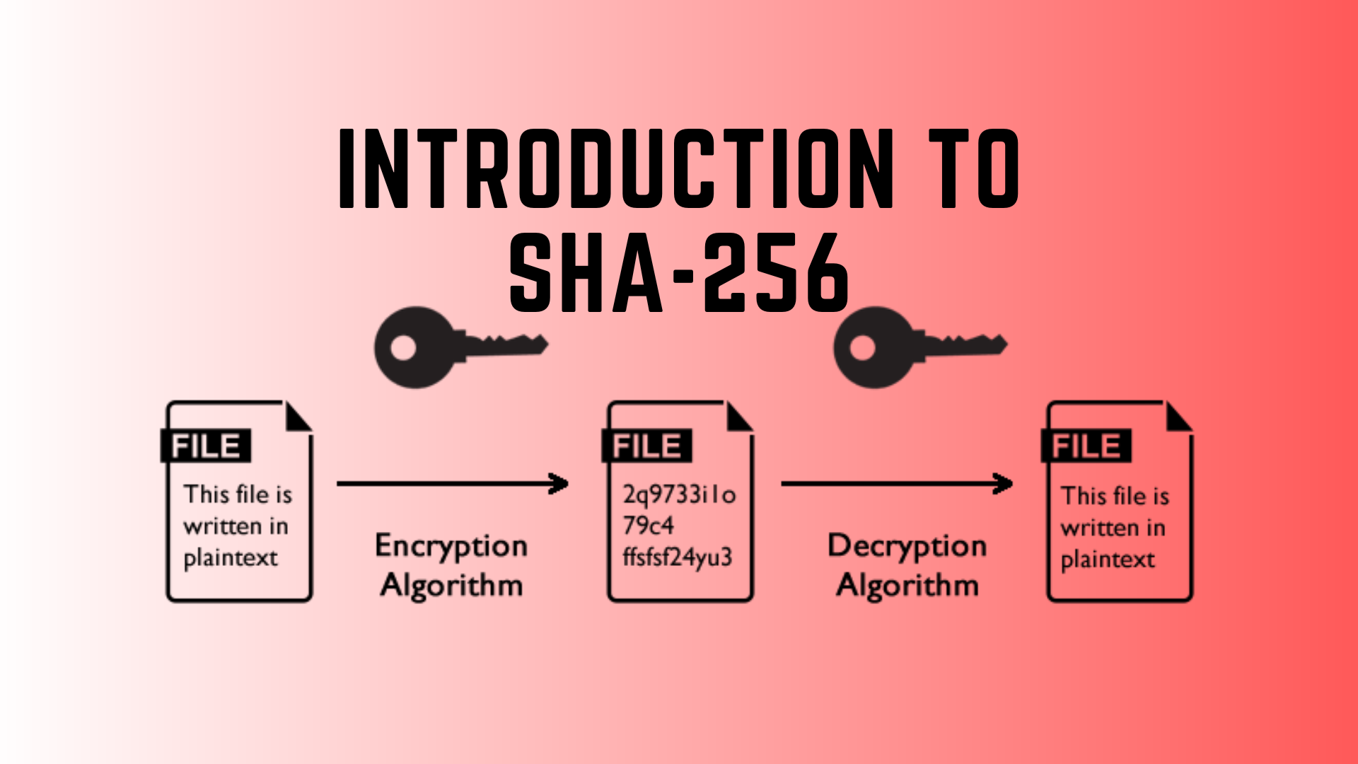 Unmasking the Mystery: How SHA-256 Hashing Keeps Your Data Safe