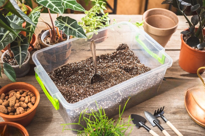 The Essential Guide to Potting Soil: Why Your Plants Need It?