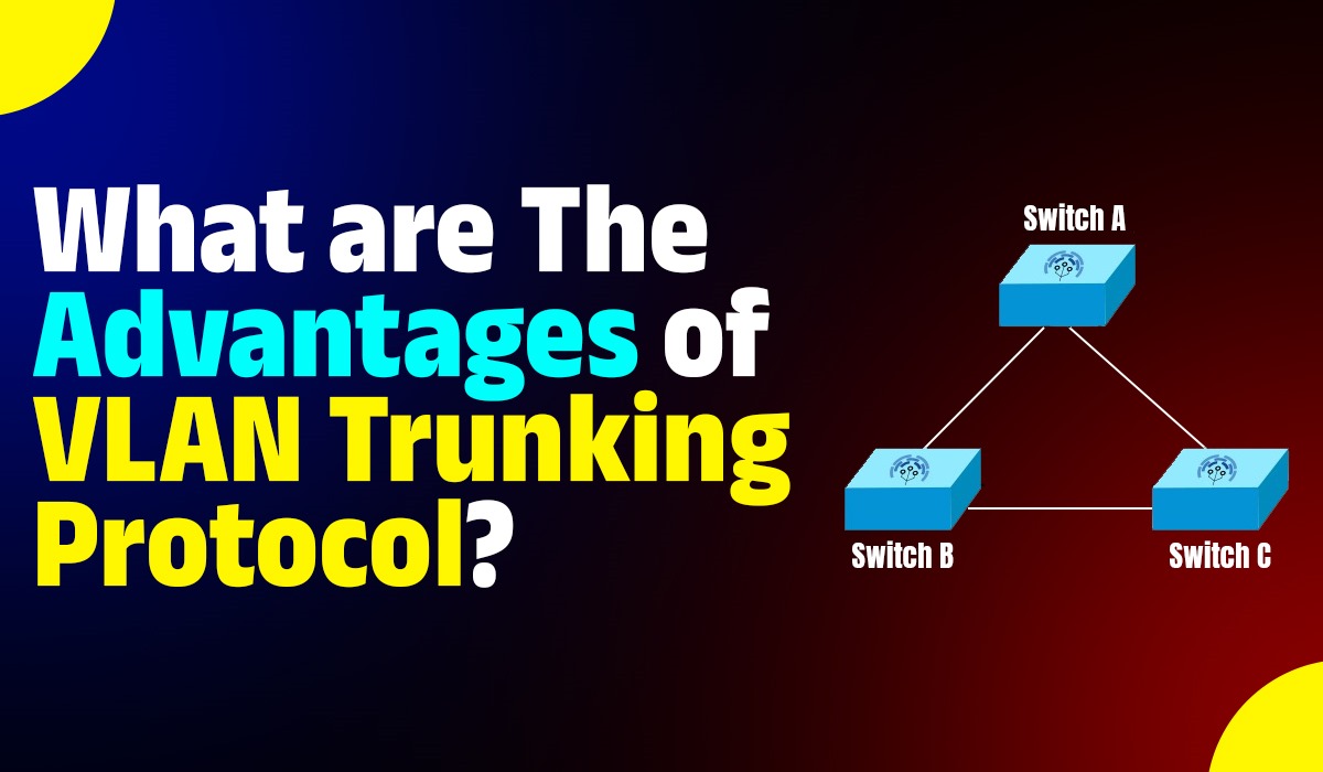 What are the Advantages of VLAN Trunking Protocol?